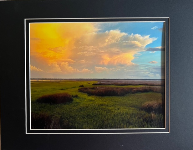 King 03 St Marys Georgia Marsh