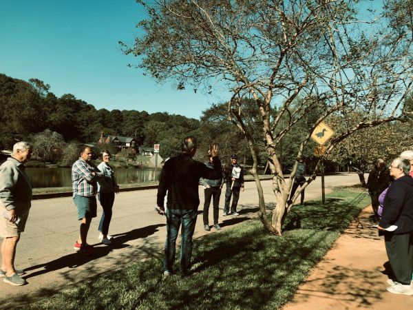 Arborist educating walkers
