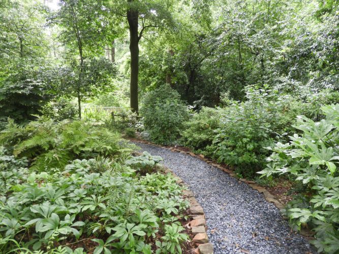 Path through Linda Coatsworth s garden 