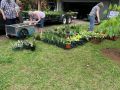 2024 plant sale  