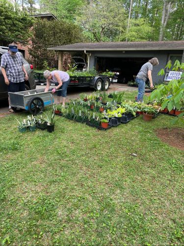 2024 plant sale  