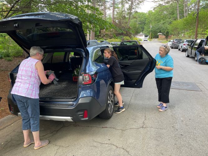 2024 plant sale  