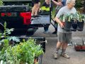 2024 plant sale  