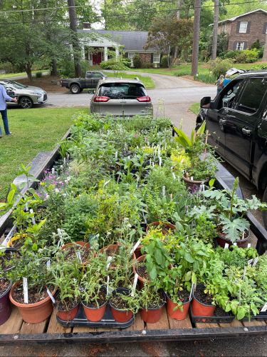 2024 plant sale  