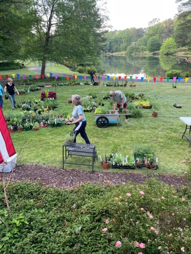 2024 plant sale  