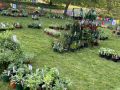 2024 plant sale  