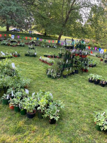 2024 plant sale  