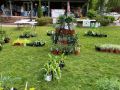 2024 plant sale  