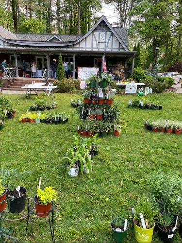 2024 plant sale  