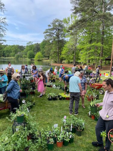 2024 plant sale  