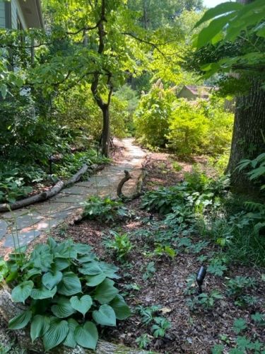 path through the peaceful native plant garden