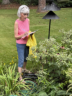 Pollinator 2025 Photo of Kathy Hatfield edit